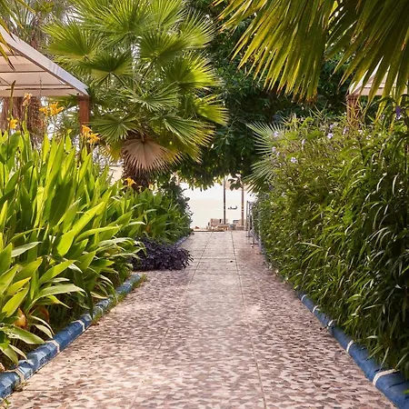 Maya World 3* Okurcalar