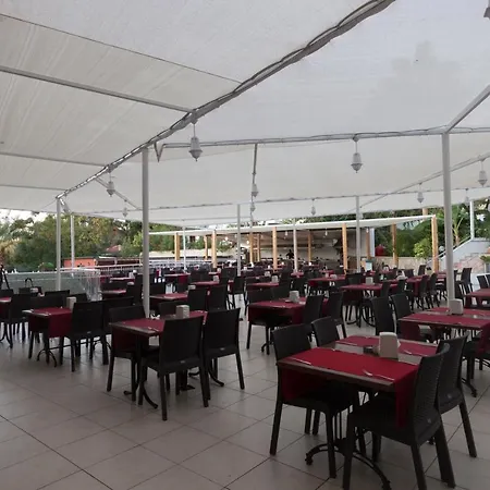Maya World 3* Okurcalar