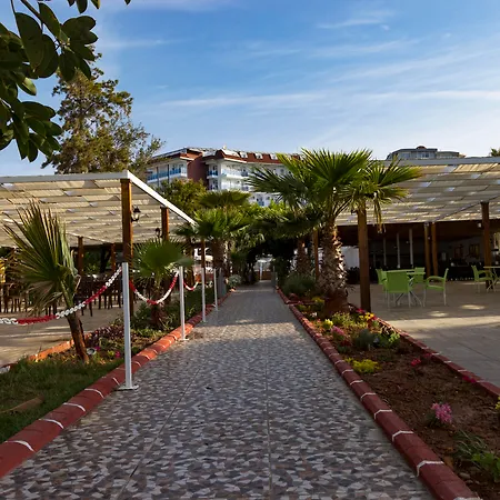 Maya World Okurcalar